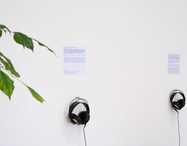 我們相應如是 We Are Opposite Like That，2020，聲音作品 Soundwork