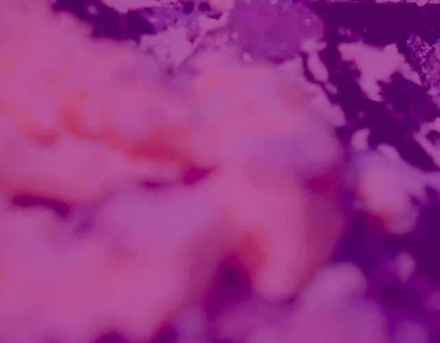 芬香與去味分子2023 Fragrance and deodorizing molecules 2023