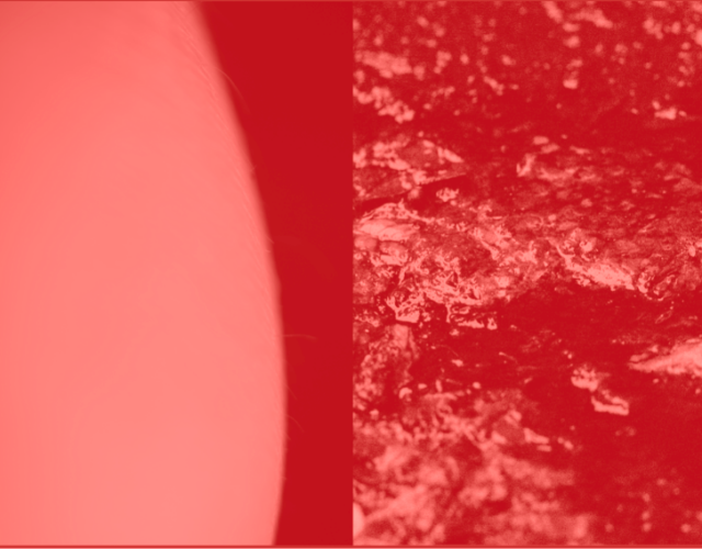 芬香與去味分子2023：紅月 Fragrance and deodorizing molecules 2023_ Red Moon