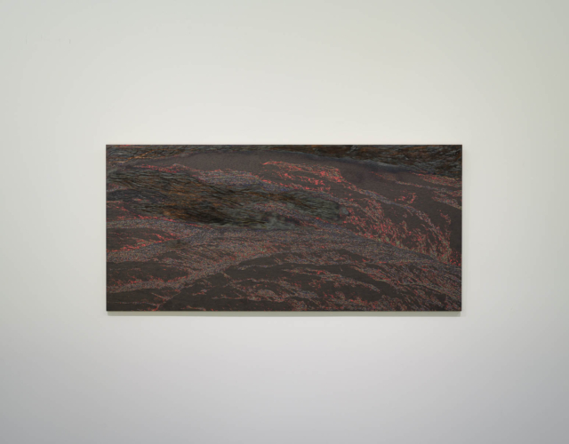 lololol, 壓力場 PressureField, 2022, UV紫外線印刷於木板、手工雕刻 UV print on wood panel, hand carved, 90 x 45 cm