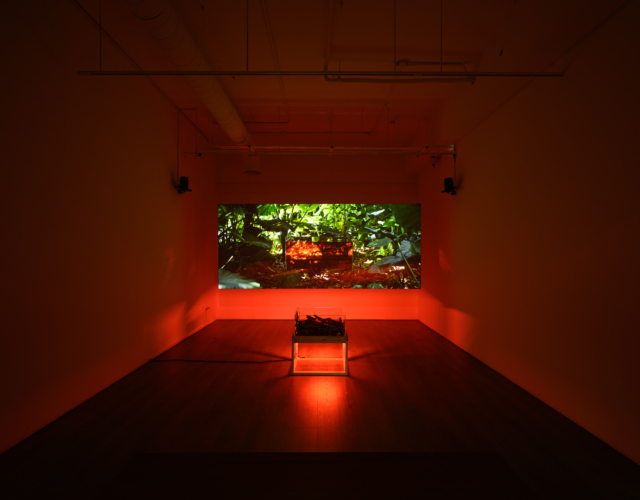 lololol, 日月潭是一個水泥盒：重訪 Sun Moon Lake is a Concrete Box: Revisited, 2024, 錄像與聲音裝置 video and sound installation, 14分00秒14’00’’